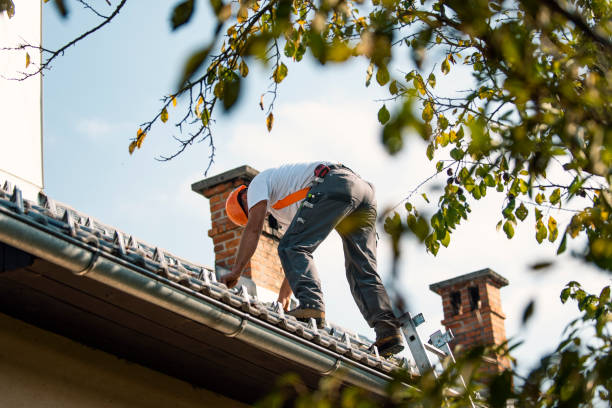 Best Gutter Installation and Roofing  in North Hornell, NY