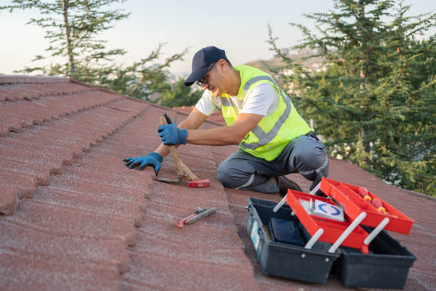 Best Roof Repair Services  in North Hornell, NY